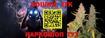 индика Мариинск