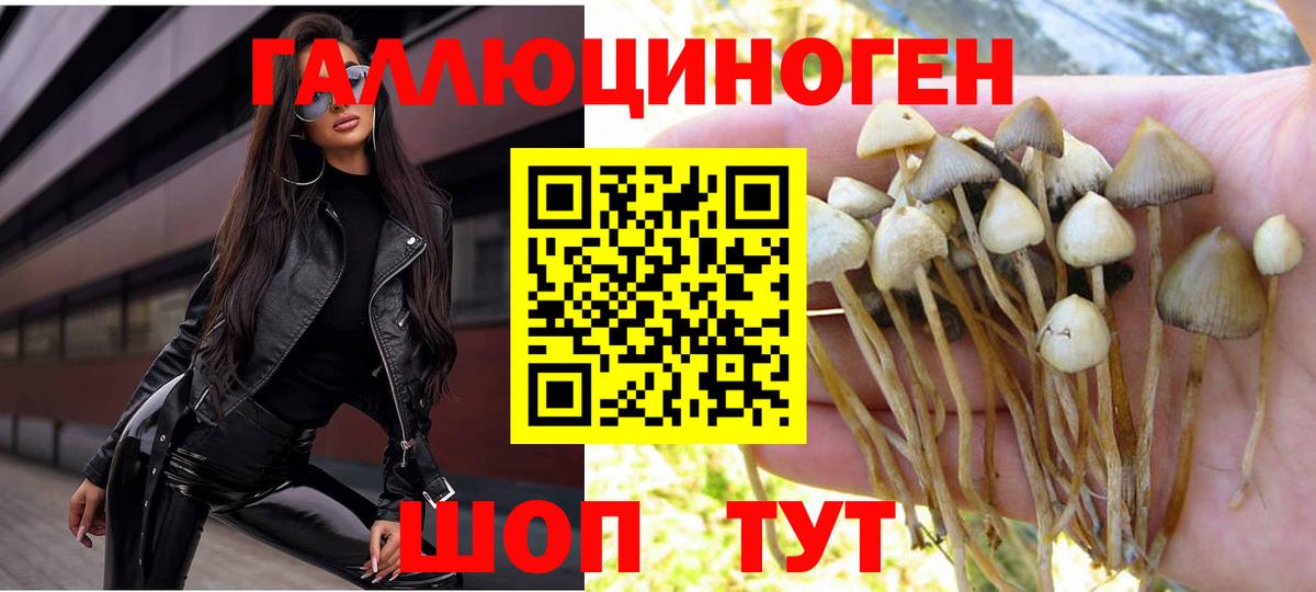 Энгельс  Псилоцибиновые грибы ЛСД  Вход с VPN 
